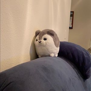 Meet your Posher, Laurie